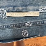 Stella McCartney !!!! Gorgeous jeans with embroidered detail. Size 25 EUC. Photo 7