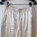 Club Monaco Elegant Pearly Silky Wide-Leg Pants Photo 1