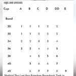 Shebird The Freedom Racerback Bra Tank Sz 5 M/L Tan Size L Photo 8