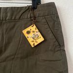 Hybrid  & Company Bermuda Green Shorts Size 18 Photo 1