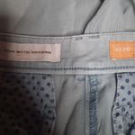 Pilcro and the Letterpress Anthro Light Green Low Rise Boyfriend Jeans Size 26 Photo 2