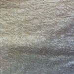 Loft Cream lace Long Sleeve Mock Neck Shirt Size XS Photo 3