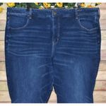 American Eagle Dream Jean Blue Women's 24 Short Curvy Hi Rise Jegging STRETCH Size undefined Photo 1