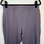 Fabletics Womens Lightweight Jogger Pants Purple Pull On Athleisure Lounge Large Photo 1