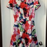 Milly by Design Nation Multicolor Scuba Knit Fit & Flare Dress size 6 Photo 0