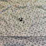 Bontrager Cycling‎ Jersey Palm Print Lime Green Gray Short Sleeve Bike Top # Size M Photo 7