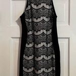 Solemio #130 LOS ANGELES BLACK AND WHITE LACE DRESS LARGE Photo 0