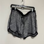 Tek Gear Women’s DryTek Gray Shorts – Size Large Photo 0