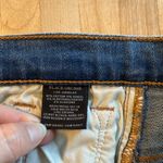 Black Orchid High Photo 12