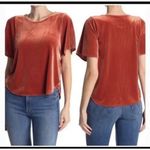 Madewell  Style # K4376 Burnt Orange Velvet Butterfly Top Shirt Shortsleeve Small Photo 1
