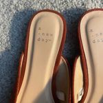 A New Day  mules burned orange 8 Photo 3