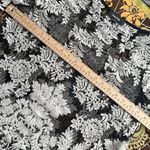 Karen Kane  Elegant Black and Cream Lace Top SZ: L Photo 3