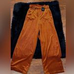 NWT oat New York high waisted rust velvet pant Brown Photo 7