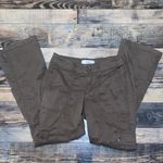 Hollister  Dark Brown Cargo Pants Photo 1