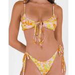 Blackbough ๐๐ Daniella Bikini Set ~ May Flowers Large L NWOT Photo 6
