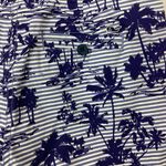 Vineyard Vines  Island Scene Stripe Shorts Size 2 Photo 3