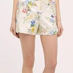 Anthropologie Elevenses Calalonia Short Size 4 Floral Lace Appliqué Button Close Photo 0