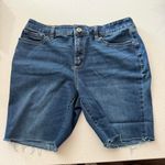 st. john's bay – Women's Denim Cutoff Shorts – 16P Petite – Blue Distressed Photo 0