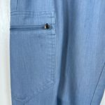 FIGS  Scrub Pants Zamora Joggers Pharmacist Surgeon Nurse Doctor Medium #1089 Photo 6