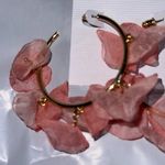 Stella & Rubi Cantaloupe color Photo 1