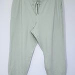 Madewell Petite Superbrushed Easygoing Sweatpants Light Green Loungewear PXXL Photo 0