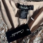 Candalite  Beige Maxi Sequin Lace Dress SIZE XL Photo 3