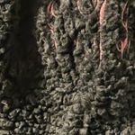 Simply Southern Black Fleece Pullover Quarter Zip embroidered initials Photo 1