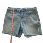 Seven7  Weekend Icy Blue Raw Hem Strechy Embroidered Sides Denim Shorts Size 4 Photo 4