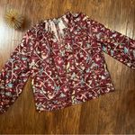 J.Crew Point Sur Ruffle-Neck Popover in Menagerie Print Size S Photo 1