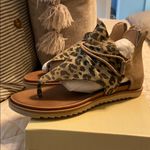 Leopard Sandals Photo 1