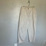 Talbots Chatham Fly Front Ankle Pants - Solid - Curvy Fit Beige XL Size 12 Photo 2