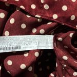 ZARA NWOT POLKA DOT SILKY / SATIN MINI DRESS BLOGGERS FAV Photo 8