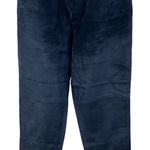 Vintage Bushwacker Genuine Suede Leather Womens 12 Pants Blue Highwaisted USA Photo 0