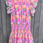 TCEC  Colorful Floral Mini Dress Photo 0