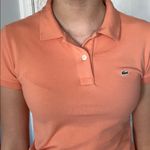 Lacoste  shirt Photo 3