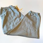 RSQ  Joggers, size Large. These are a light green and are nice and thick. Photo 0