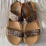 Steve Madden Sandals Photo 0