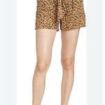 A New Day Women's Shorts XS Brown Leopard Photo 0