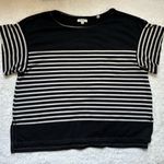 Max Studio  short sleeve knit sweater top size XL Photo 3