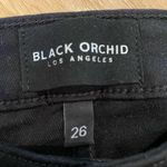 Black Orchid  - Star Skinny Jeans in Black Silver Photo 3