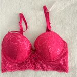 Daisy Fuentes  Vibrant Pink Lace Bra Photo 0