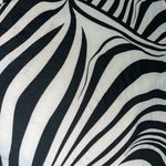 Love Culture Zebra Print Dress Photo 1
