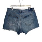 Abercrombie & Fitch  Women's Curve Love 90s Denim Shorts Blue Size 33 US 16 Photo 3