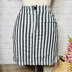 Brandy Melville Skirt Photo 0