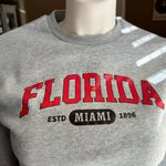 Miami Florida Crew Neck Gray Size L Photo 0