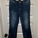 Pilcro and the Letterpress Anthropologie  Denim Stet Straight Leg Jeans 27 Photo 0