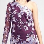 Free People Rosalie Embroidered One Shoulder Mesh Mini Dress in Wine Size 4 Photo 0