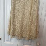 Umgee  Ivory‎ Lace Dress Size Small Photo 4