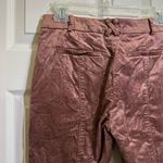 Anthropologie Brown Copper Crushed Velvet Essential Slim Ankle pants size 2 Photo 4