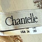 Chantelle  Africa t shirt underwire bra size 34DD 2691 Photo 8